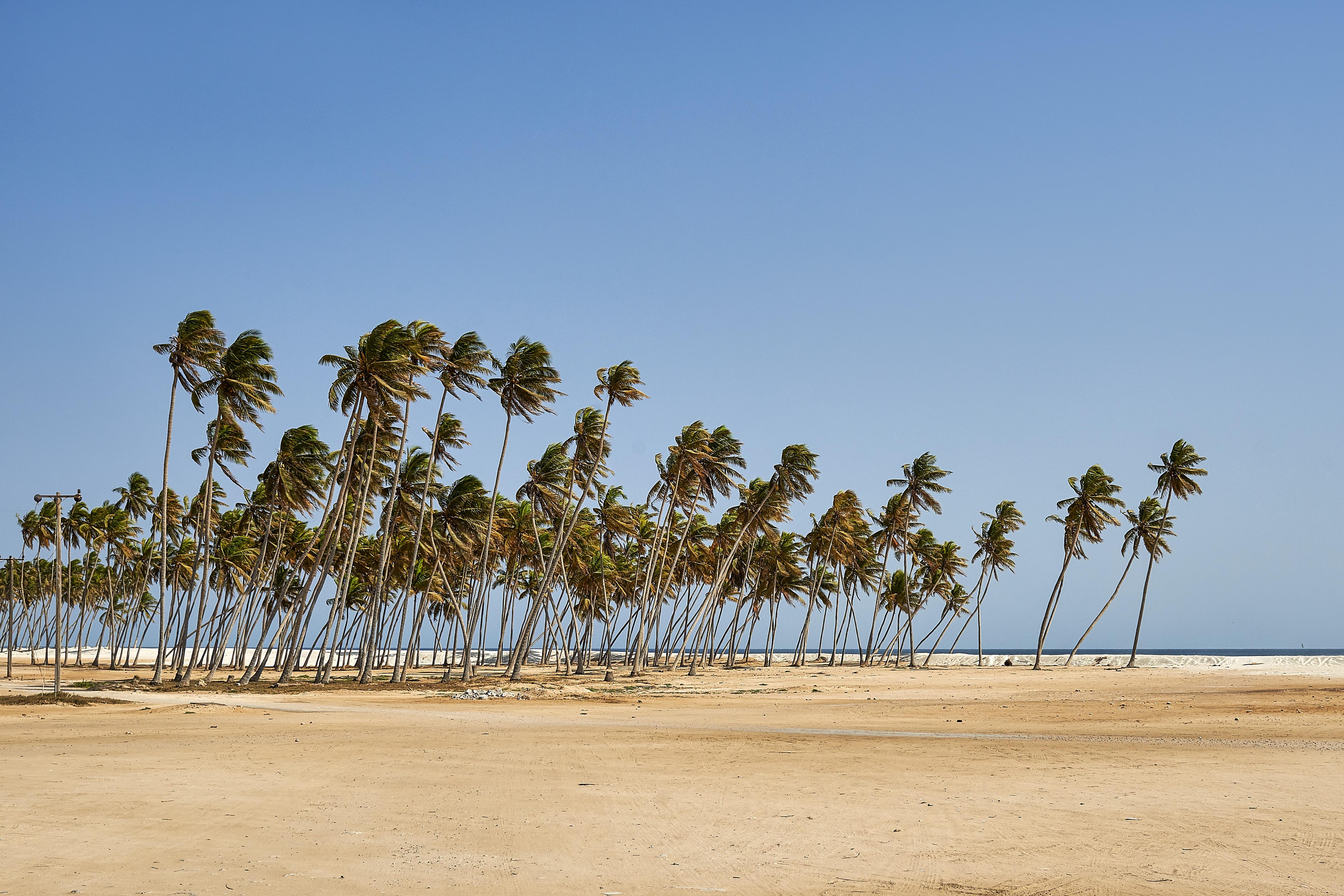 Salalah Gardens Hotel Managed By Safir Hotels & Resorts Eksteriør billede